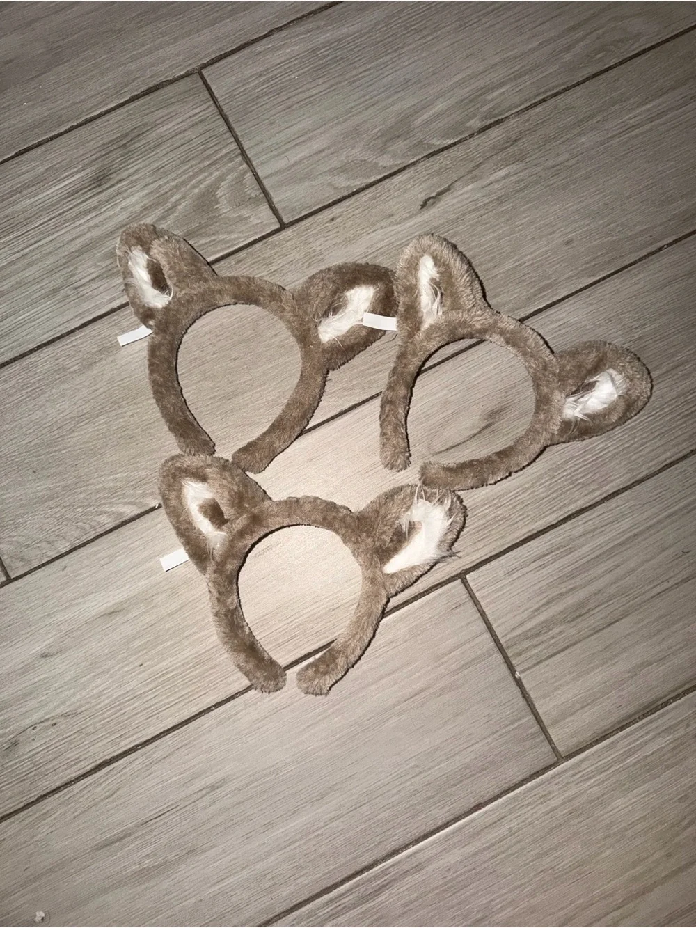 3 Great Wolf Lodge Ears